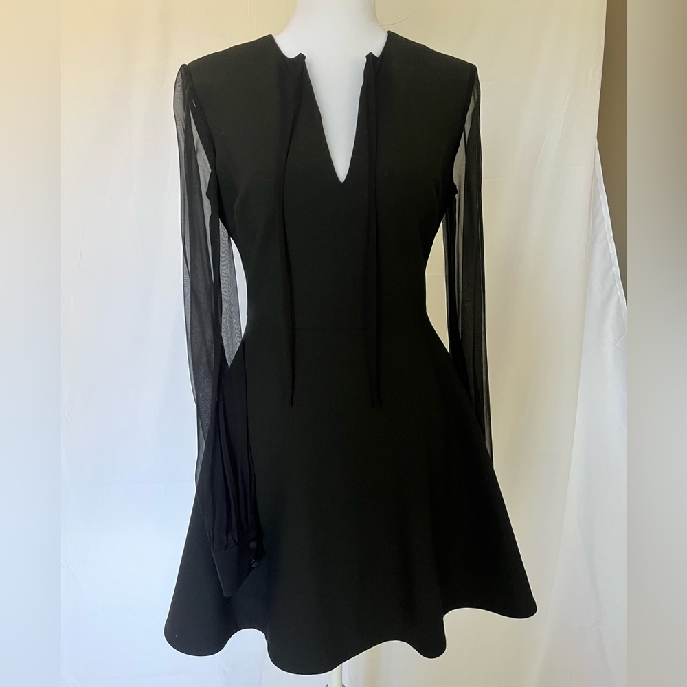 Elizabeth & James Black Dress with Sheer Silk Sleeves - Size: 4